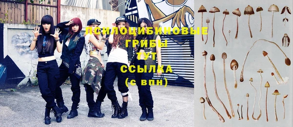 крисы Горнозаводск