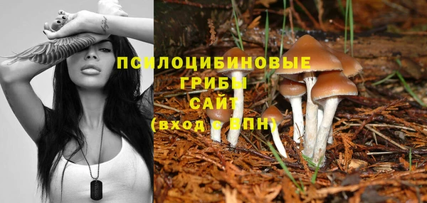 метамфетамин Гусь-Хрустальный